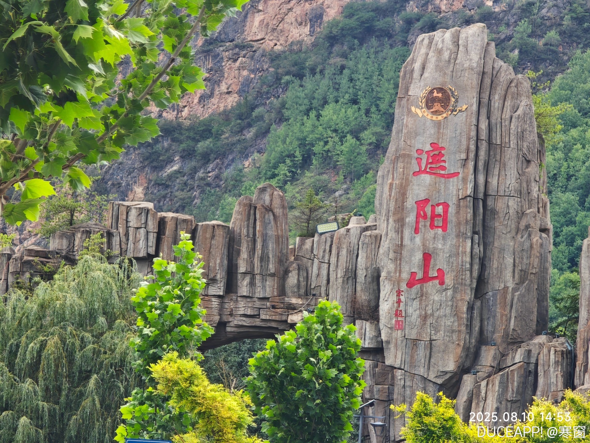 没错，这里就是搬山猿的居住地，各位道友！